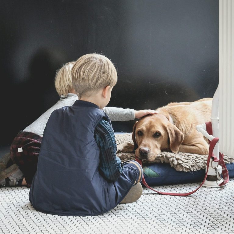 Zwei Kinder streicheln einen Hund auf einem Hundebett vor einer dunklen Wand.