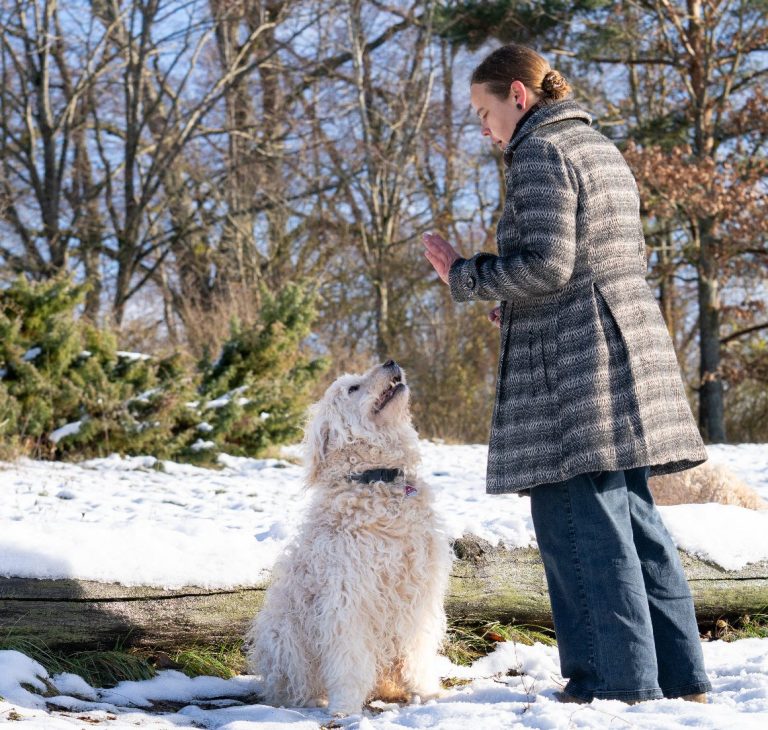 Käthe steht im Schnee und trainiert einen Hund.